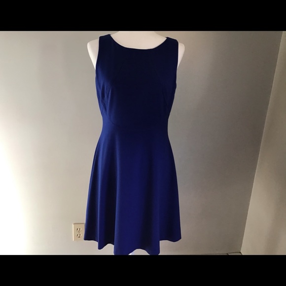 Tahari Dresses & Skirts - Tahari Royal Blue 6 Petite Sleeveless Lined Dress
